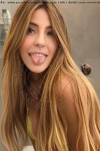 Foto selfie trans escort Vip Giovanna Roma 3341115991