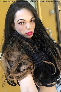 Foto selfie trans escort Barbie Dior Genova 3472825420