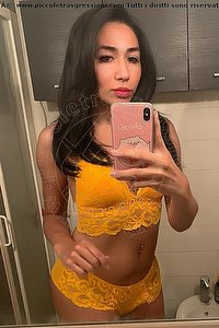 Foto selfie trans escort Natyelle Ninfeta Padova 3891178249