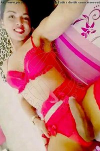 Foto selfie hot trans escort Luna Silva Martinsicuro 3801356357