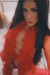 Foto selfie trans escort Diosa Canales Pordenone 3899864611